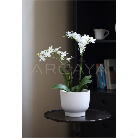 New Chinese Wabi Sabi Planter Jar Vase - scene