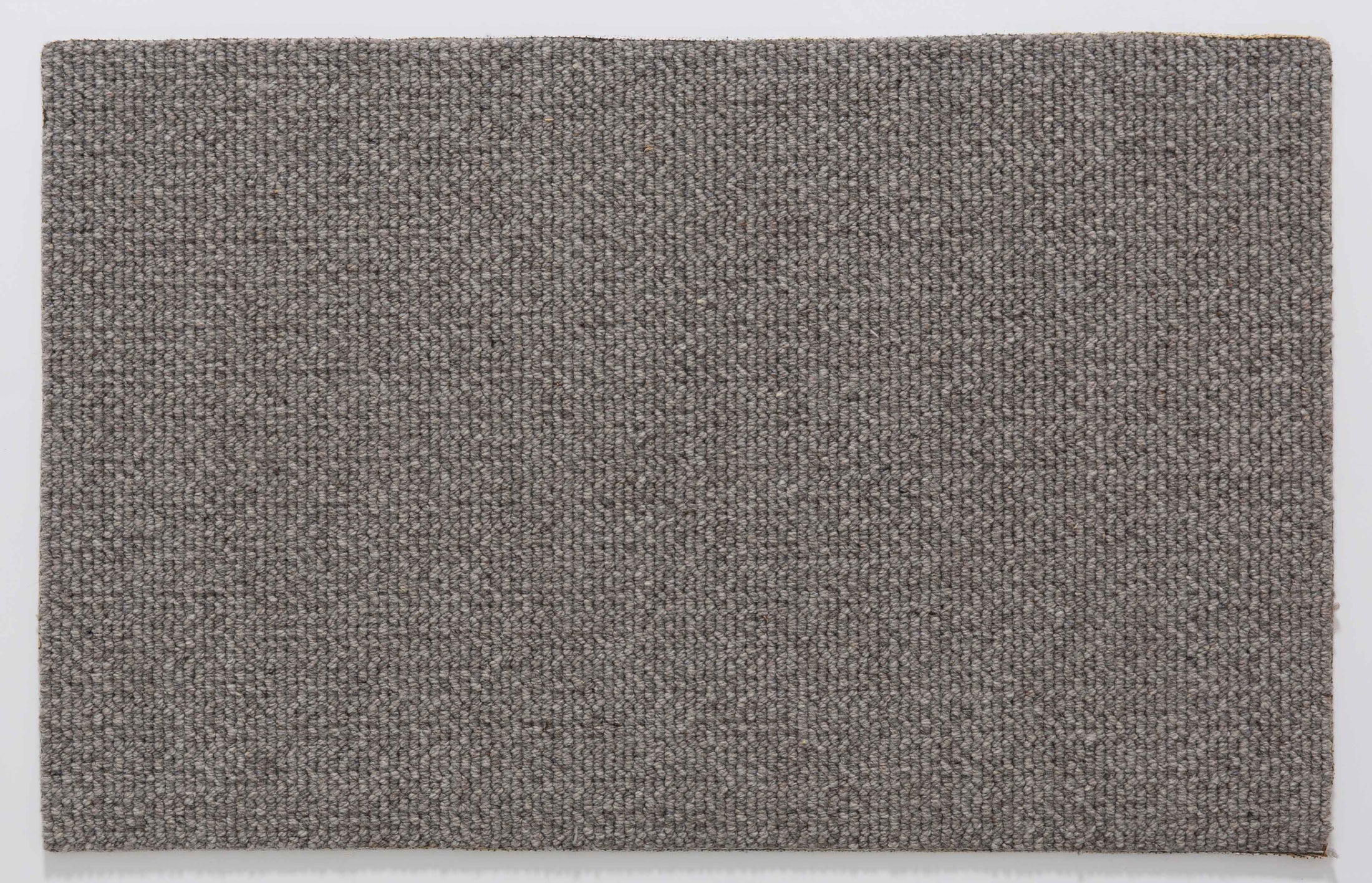 Plain Cove Area Rug in a finished interior.