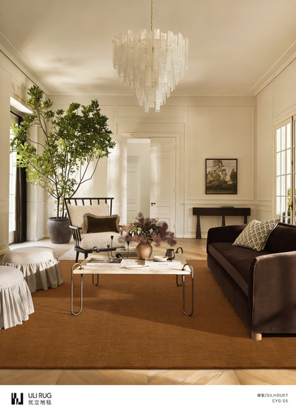 Silhouette Cairn Area Rug — interior view 05