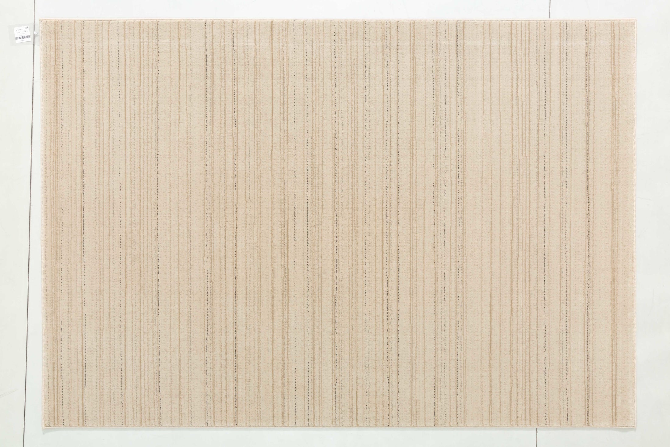 Raw Arbor Area Rug in a finished interior.