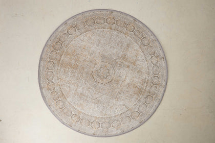 Gourmet Cove Area Rug — product view 02