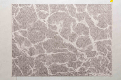 Halo Cove Area Rug