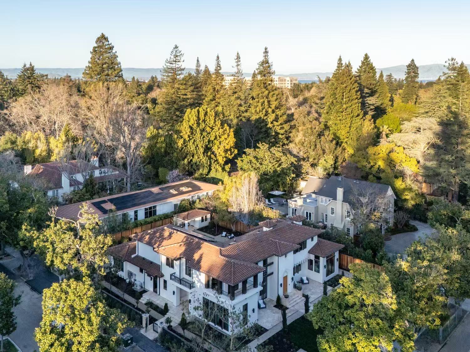 Aerial view of the San Jose residence and surrounding trees