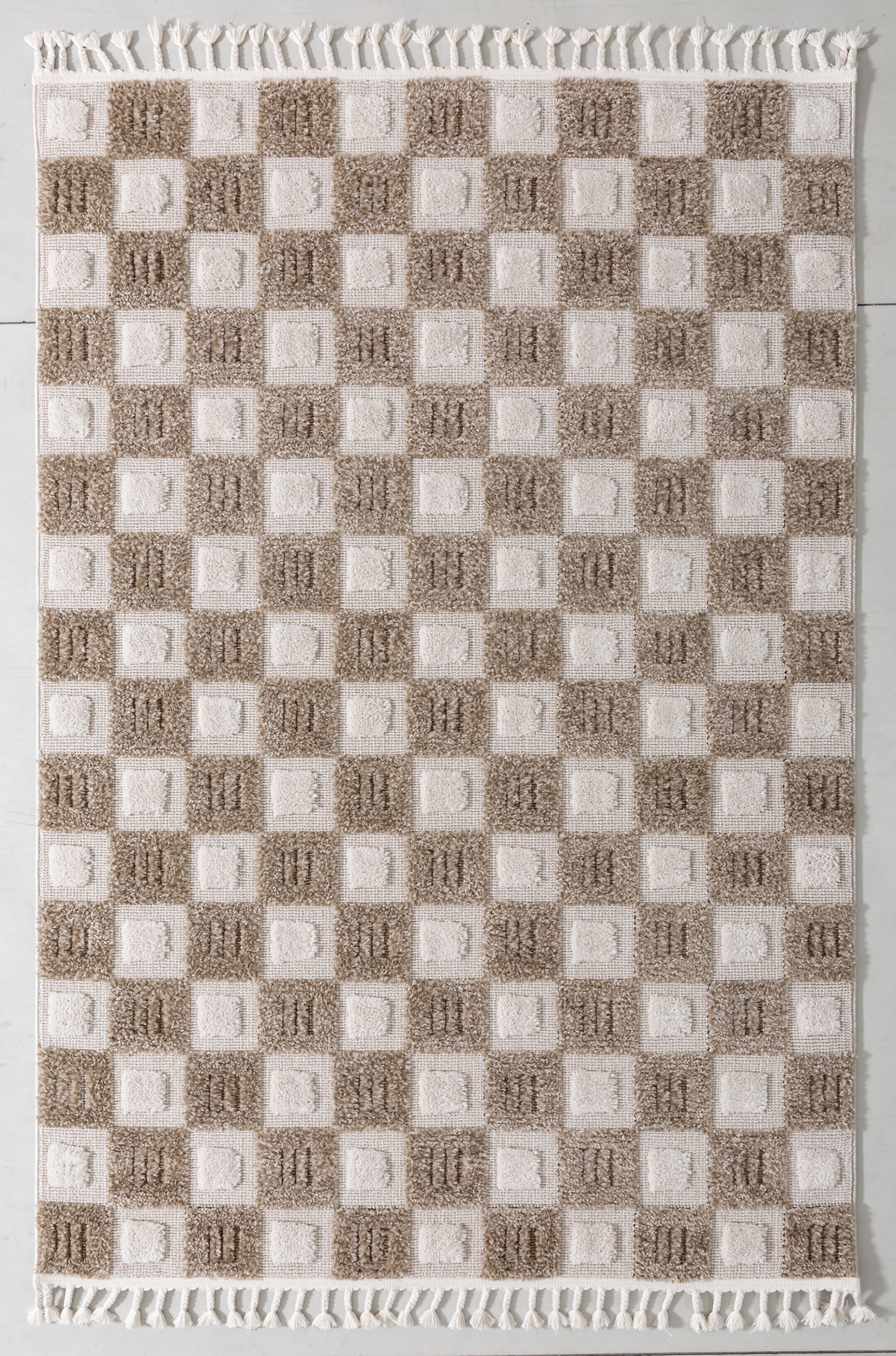Puff Arbor Area Rug in a finished interior.