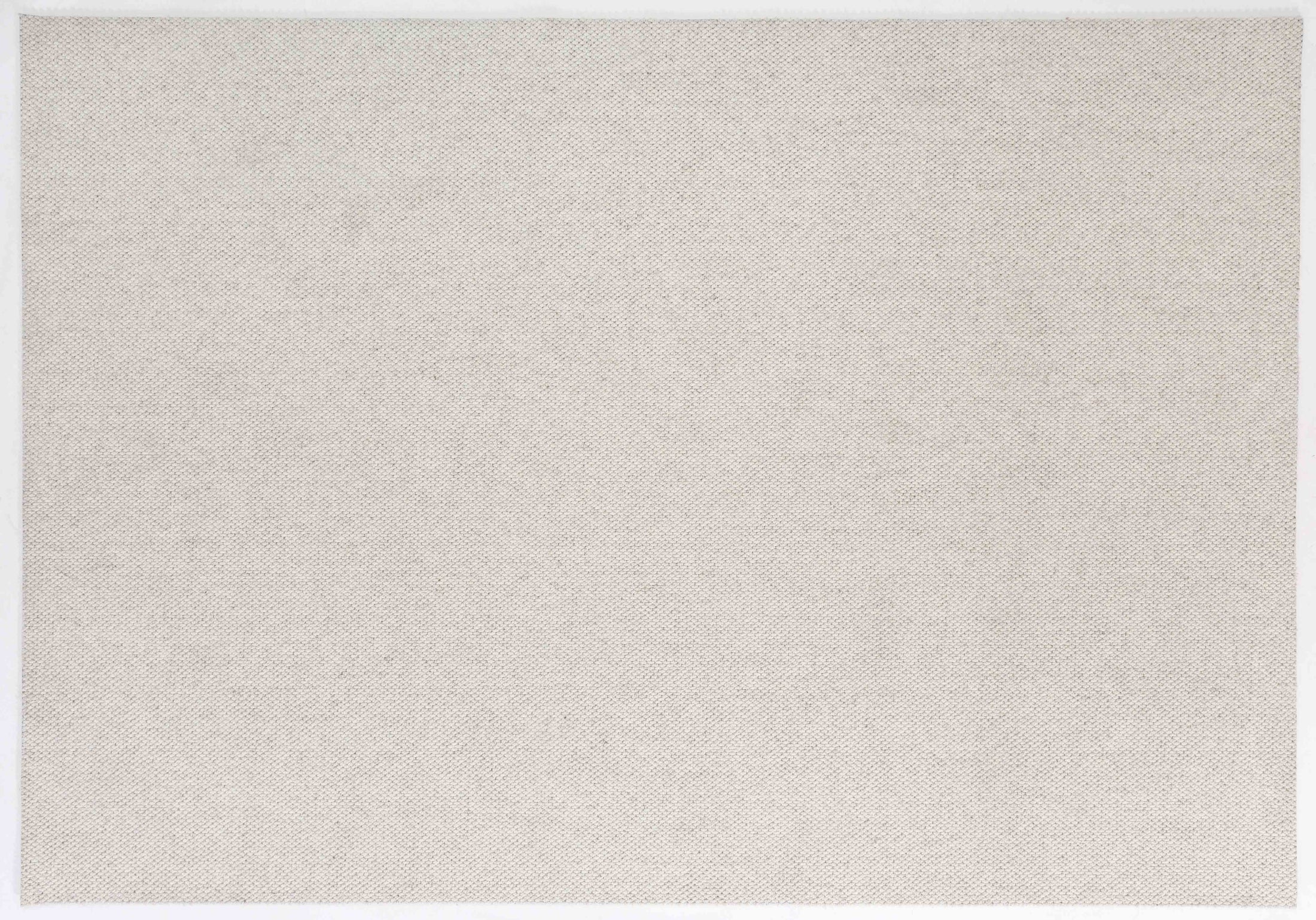 Plain Arbor Area Rug in a finished interior.