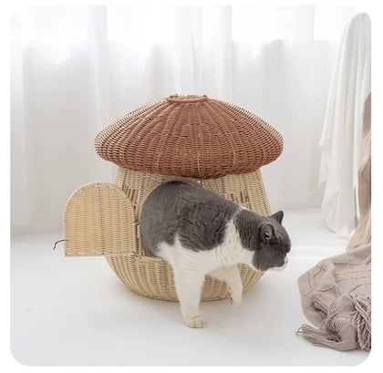  Cat stepping out through the low arched entrance.