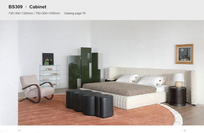 BS309 BS309 Cabinet — view 03