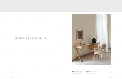 BT704 BT704 Desk — view 01