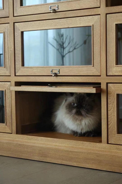 Kestrel Grove Cabinet — interior view 07