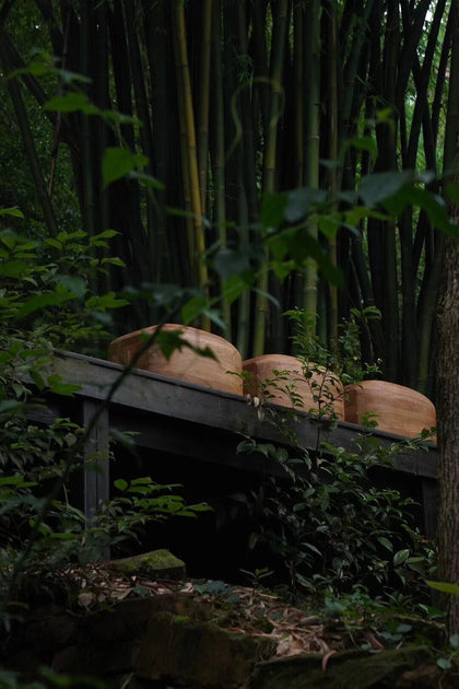 Fawn Haven Stool — interior view 06