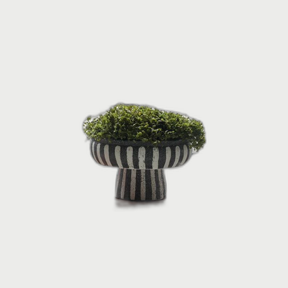 Cedar Meadow Decorative Object — neutral background 01