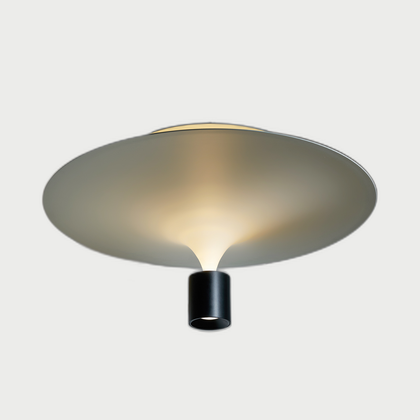 Reed Park Lighting — neutral background 01