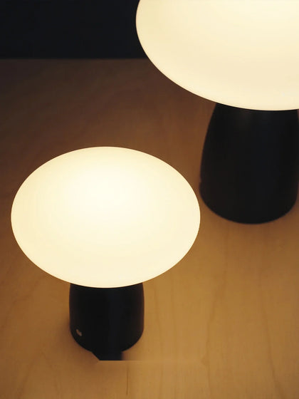 Briar Reef Lighting — interior view 03