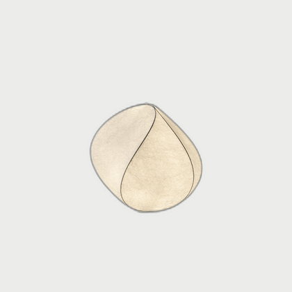 Fawn Reef Lighting — neutral background 01