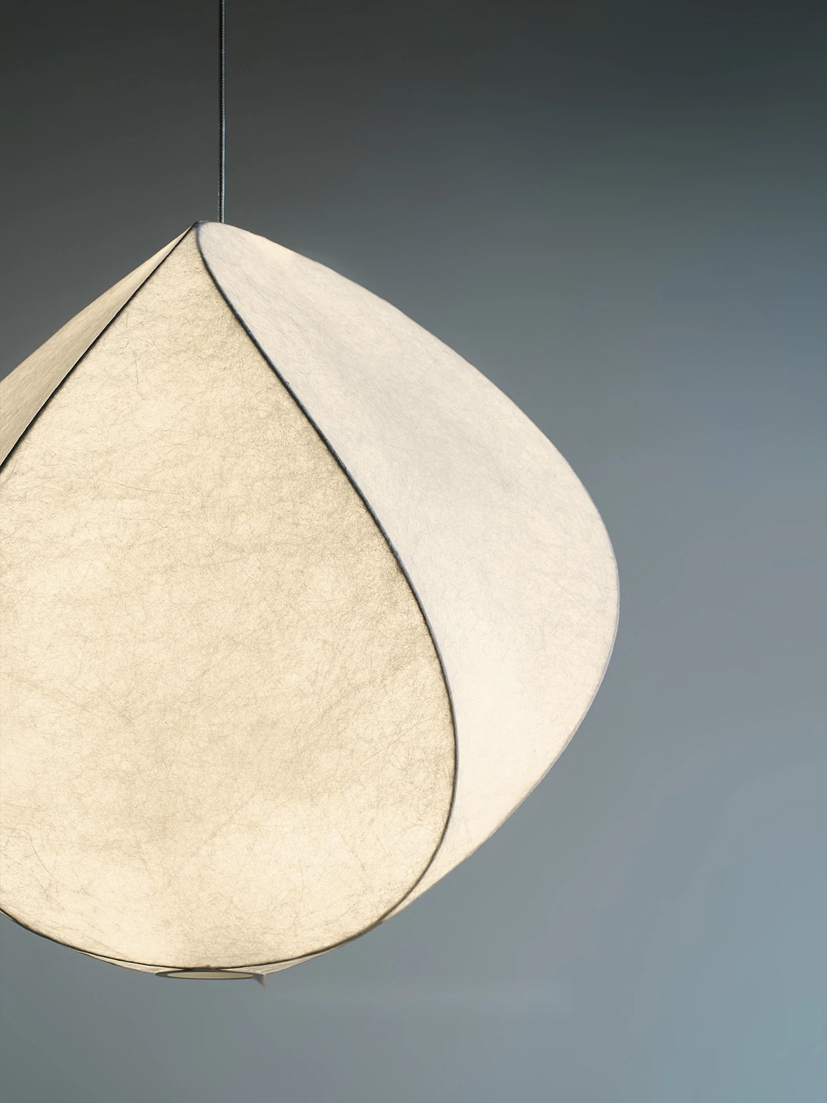 Fawn Reef Lighting in a finished interior.