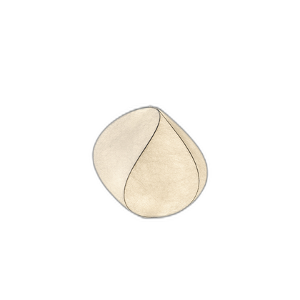 Fawn Reef Lighting — white background 02