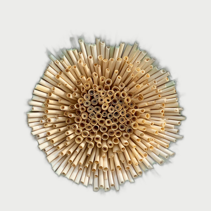 Marlow Shore Wall Art — neutral background 01