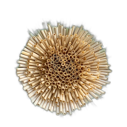 Marlow Shore Wall Art — white background 02