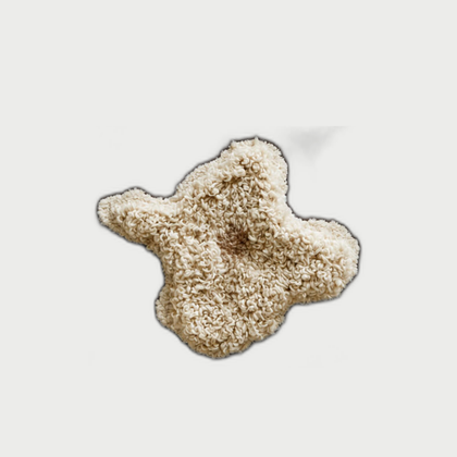 Dover Studio Wall Art — neutral background 01