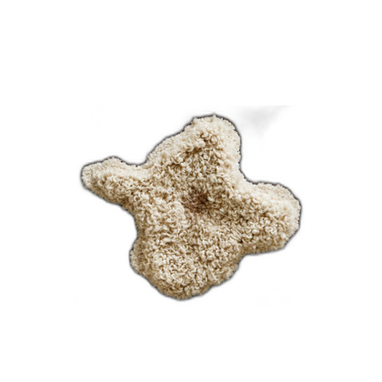 Dover Studio Wall Art — white background 02