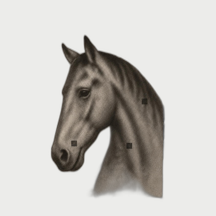 Elm Studio Wall Art — neutral background 01