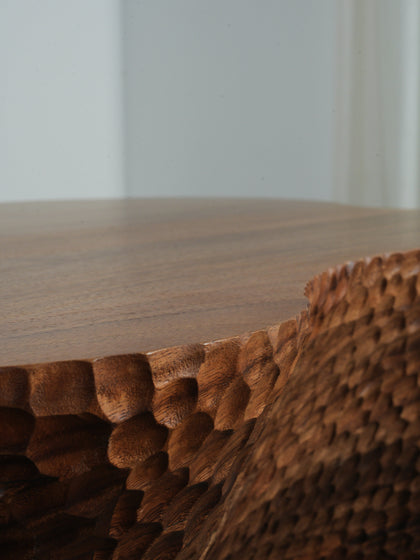 Fawn Wells Coffee Table — interior view 06