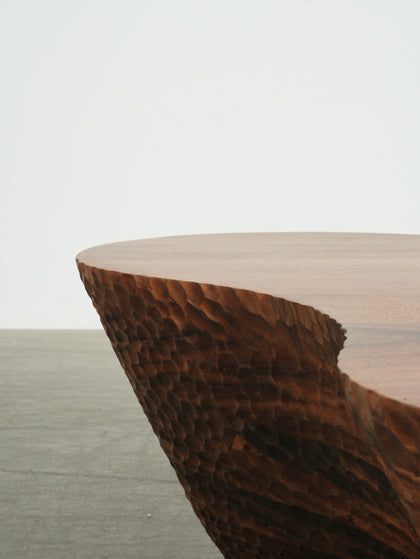 Fawn Wells Coffee Table — interior view 07