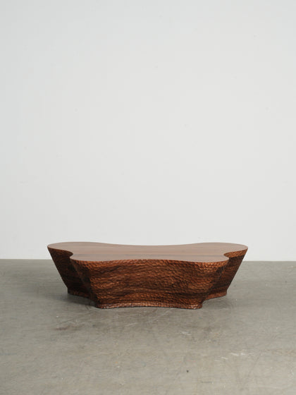Fawn Wells Coffee Table — interior view 09