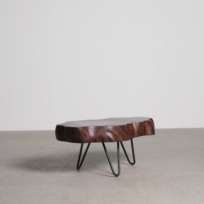 Glen Wells Coffee Table — interior view 04