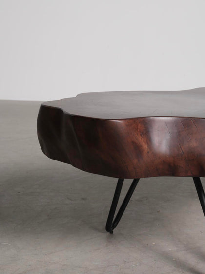 Glen Wells Coffee Table — interior view 06