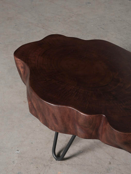 Glen Wells Coffee Table — interior view 07