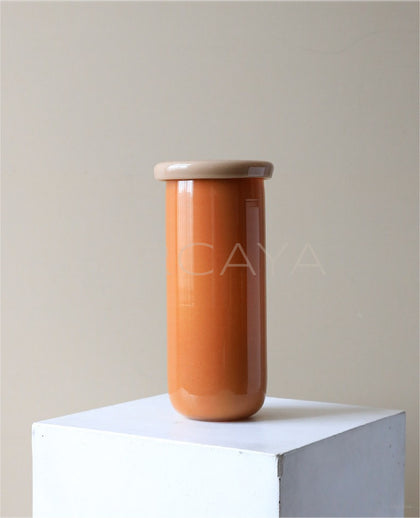 Mid Century Glass Hydroponic Vase Designer - scene
