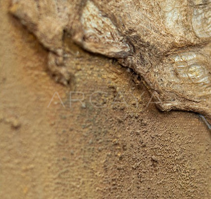 Mixed Media Wall Art 2503D0063 - detail