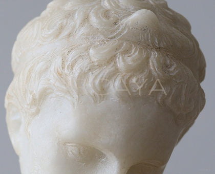 Venus Sculpture Ornament - scene