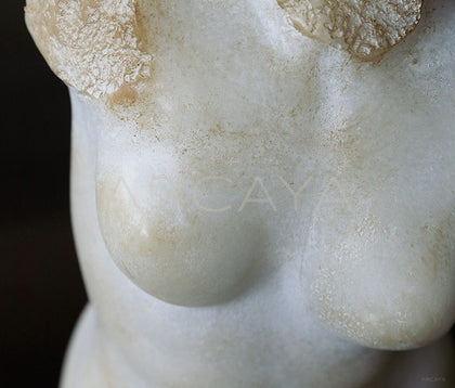 Venus Bust Sculpture Mid Century - scene