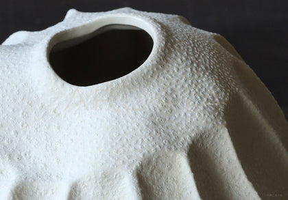 Wabi Sabi Jingdezhen Handmade Ceramic Vase - scene
