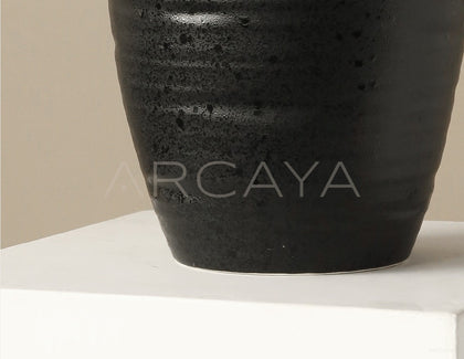 Black Double Ear Art Vase - scene