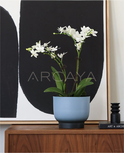 New Chinese Wabi Sabi Planter Jar Vase - scene