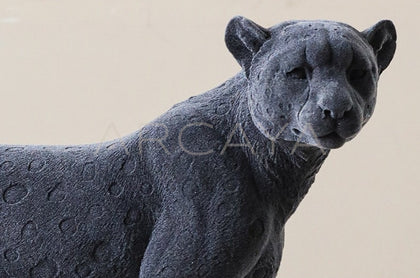 Leopard Ornament Entryway - scene