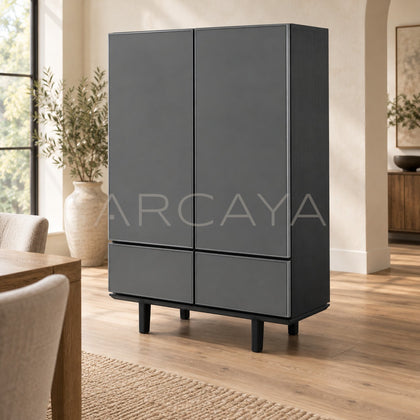 Cabinet Pc 713 - scene