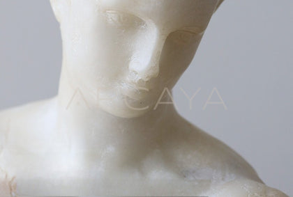 Venus Sculpture Ornament - scene