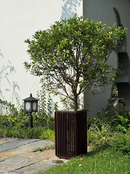 Solar Powered Decorative Lamp — Outdoor Lighting - scene