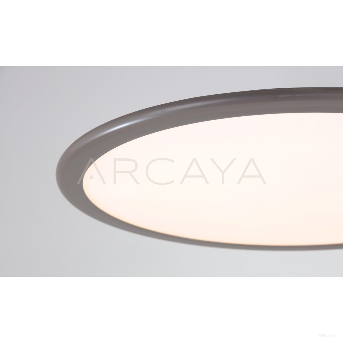 Milky Thin Disc Ceiling Light 23051 in detail