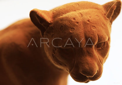 Leopard Ornament - scene