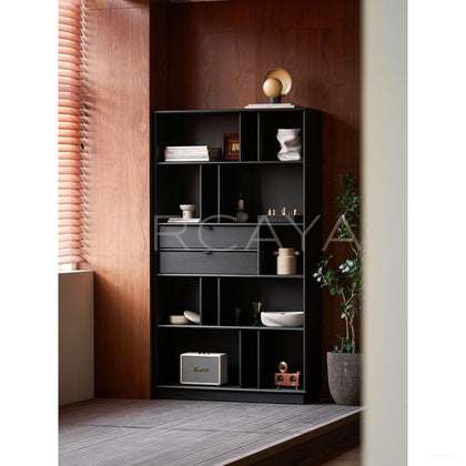 Classic Black Bookcase - scene