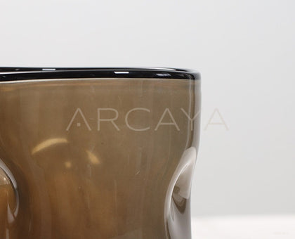 Lucky Bamboo Wide Mouth Glass Vase - scene
