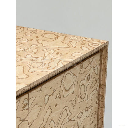 Art Burl Veneer Acrylic Leg Tv Stand - scene