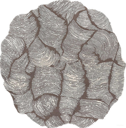 Custom Hand Tufted Rug Dsm P055 C01 - scene