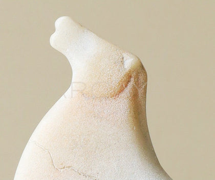 Horse Ornament Desktop - scene