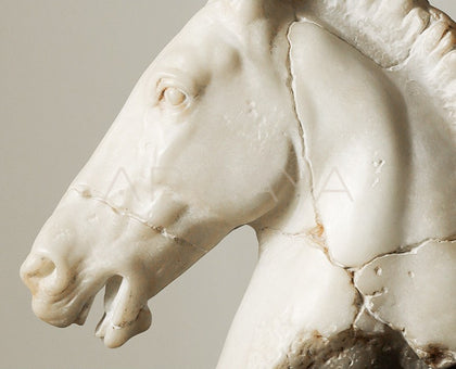 Horse Ornament Office Decor - scene